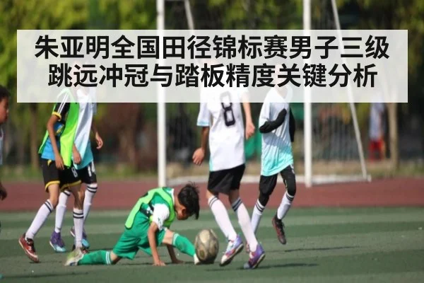 朱亚明全国田径锦标赛男子三级跳远冲冠与踏板精度关键分析（kaiyun）